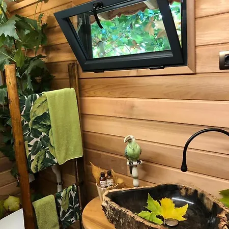 豪华帐篷 Dream Tree House