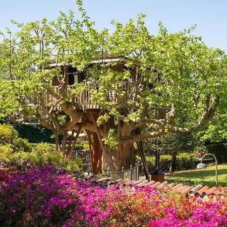 Luxury tent Dream Tree House