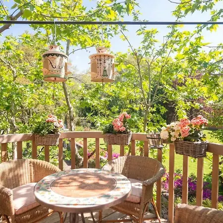 Dream Tree House