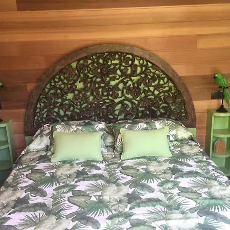 Dream Tree House
