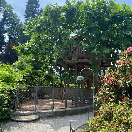 Luksusowy namiot Dream Tree House *