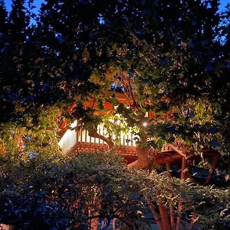 Luxusní stan Dream Tree House