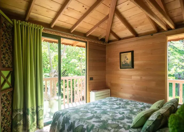 Dream Tree House Lüks kamp alanı *