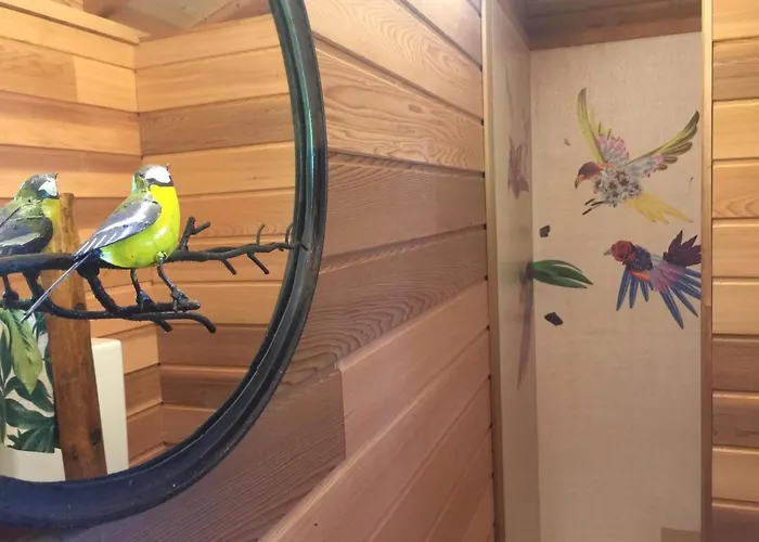 Dream Tree House Como