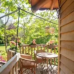 Dream Tree House *