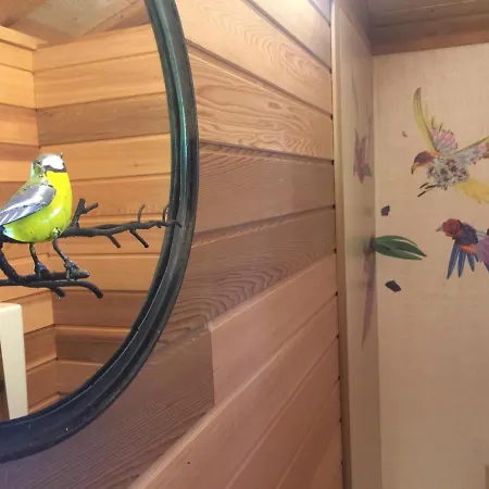 Dream Tree House Como