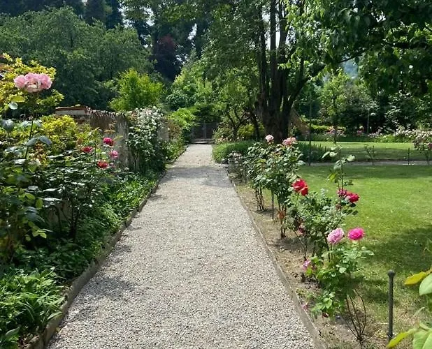 Luxussátor Dream Tree House *