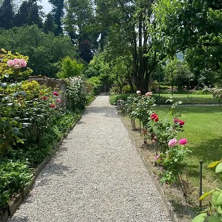 럭셔리텐트 Dream Tree House *