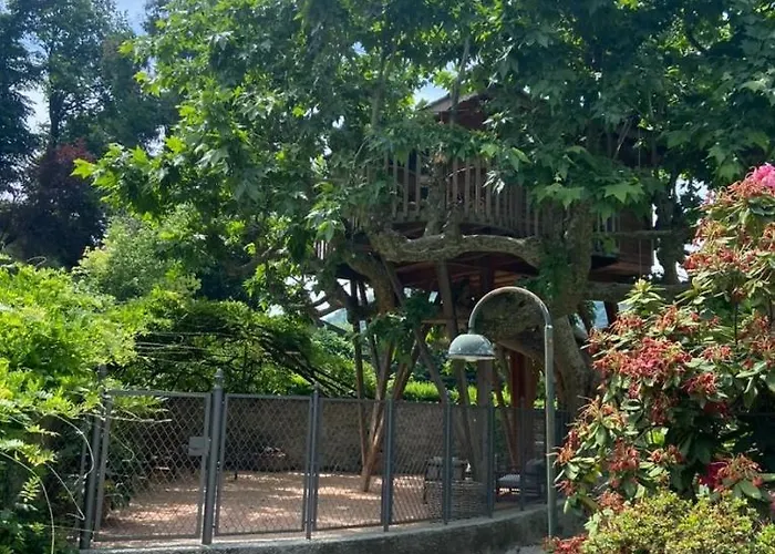 Οργανωμένο κάμπινγκ Dream Tree House *